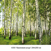 Фотообои Березовая роща 16л 392*260см