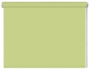 Рулонные шторы 48*160 Нежная мята